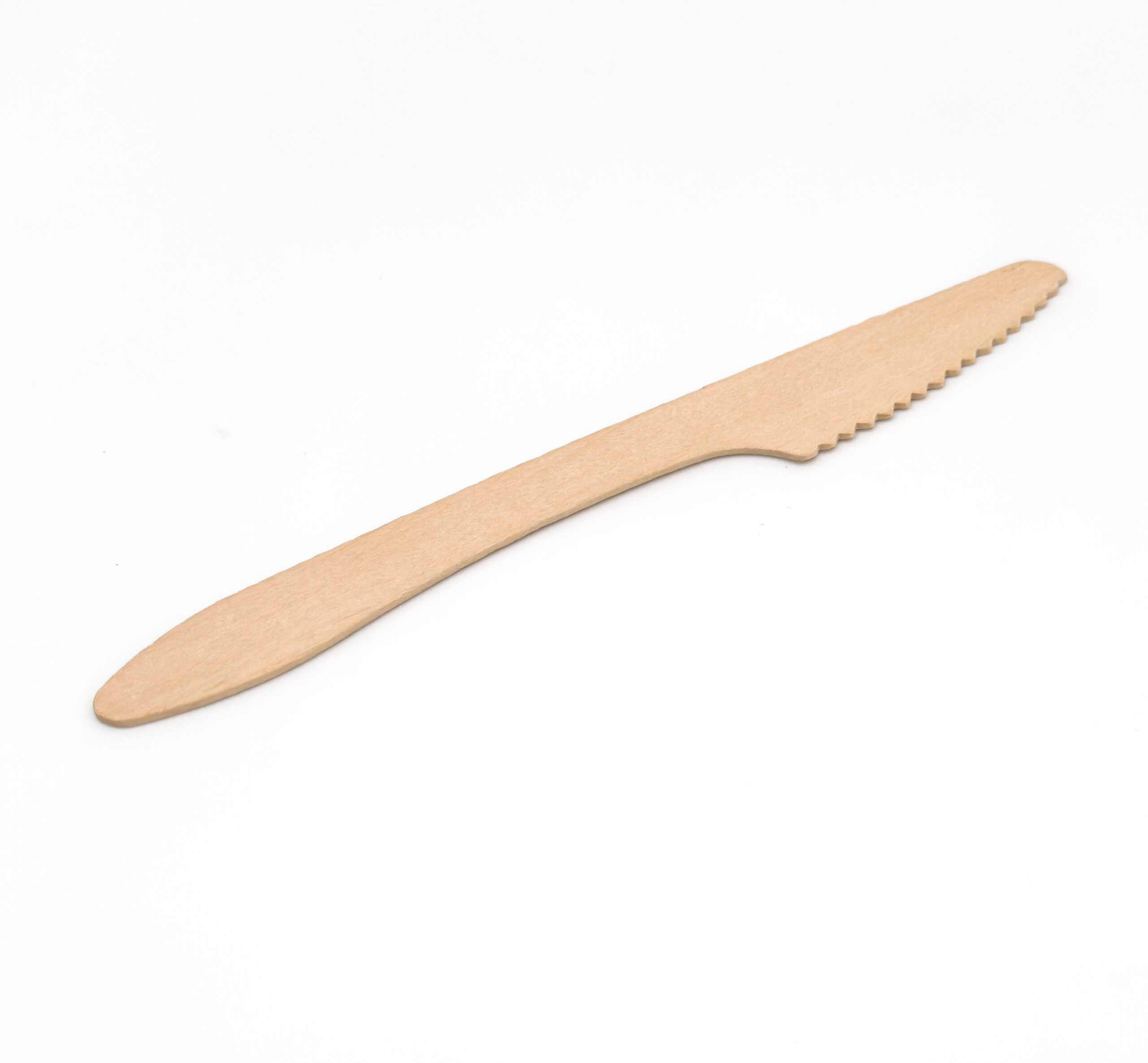 bamboo disposable plates manufacturer