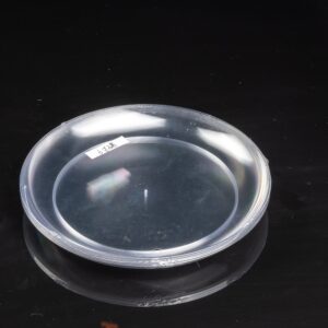 6in Plate
