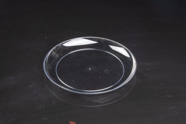 6in Plate4
