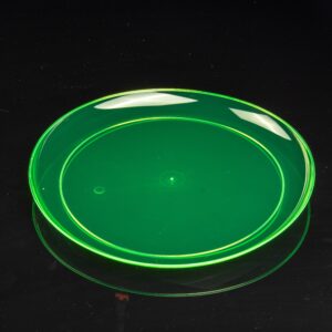 9in Plate