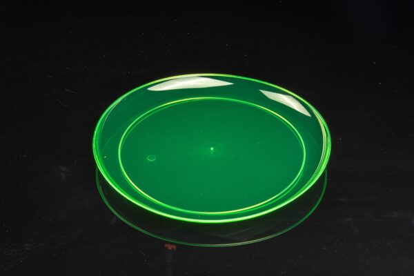 9in Plate
