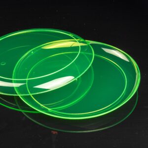 9in Plate4