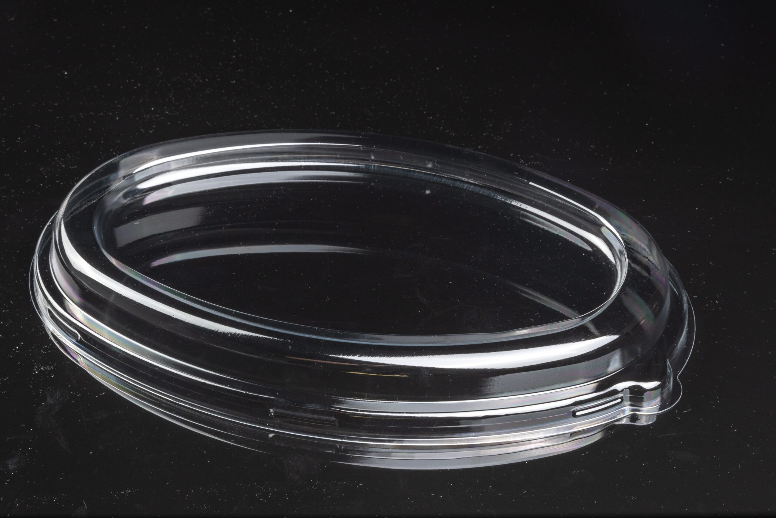 biodegradable tableware manufacturer