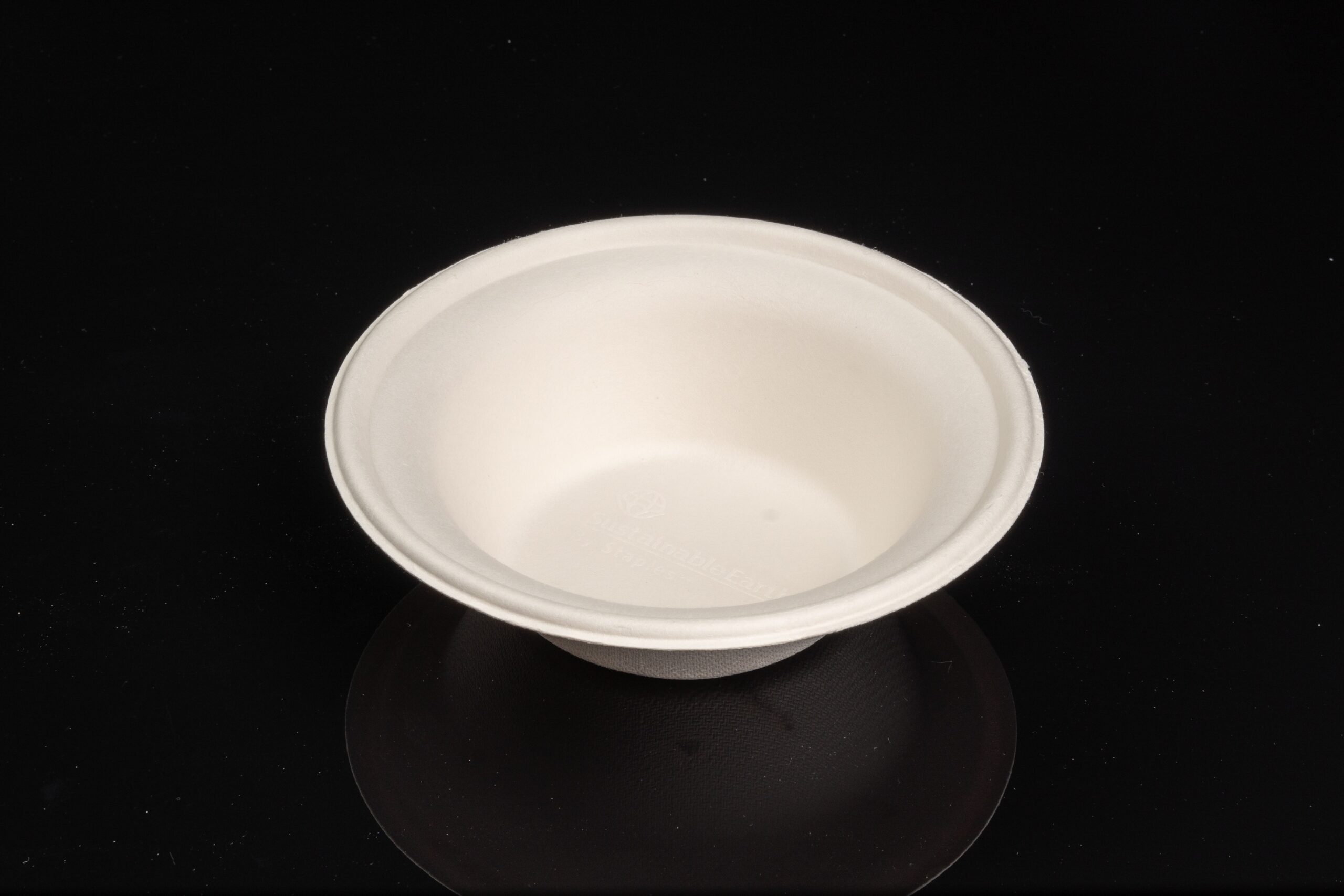 biodegradable tableware manufacturer