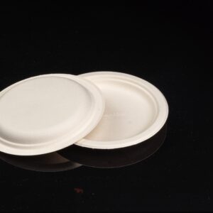 6in bagasse plate2