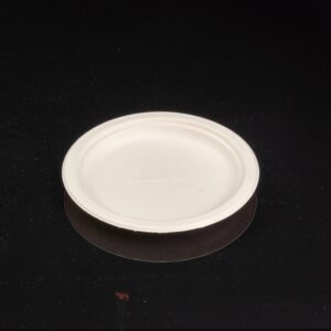 6in bagasse plate