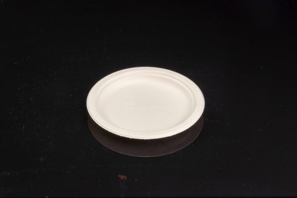 6in bagasse plate
