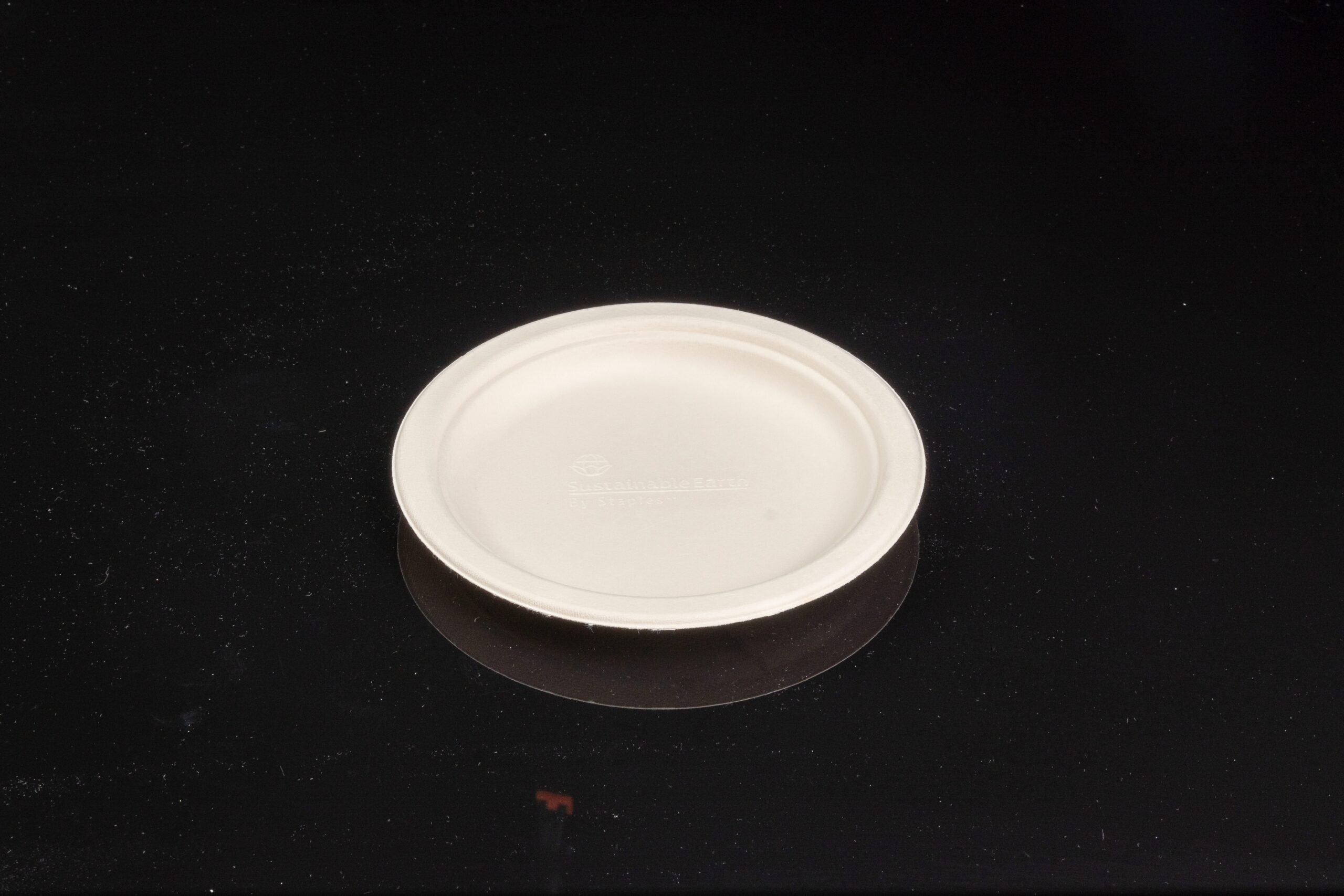 biodegradable tableware manufacturer