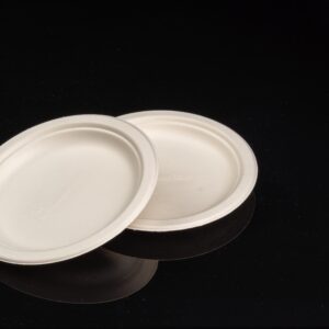 6in bagasse plate3