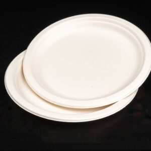 9in Bagasse plate3