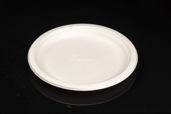 9in Bagasse plate