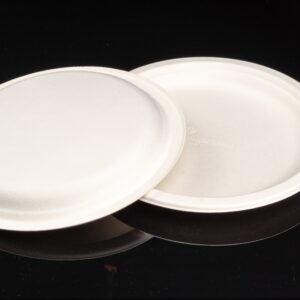 9in Bagasse plate2