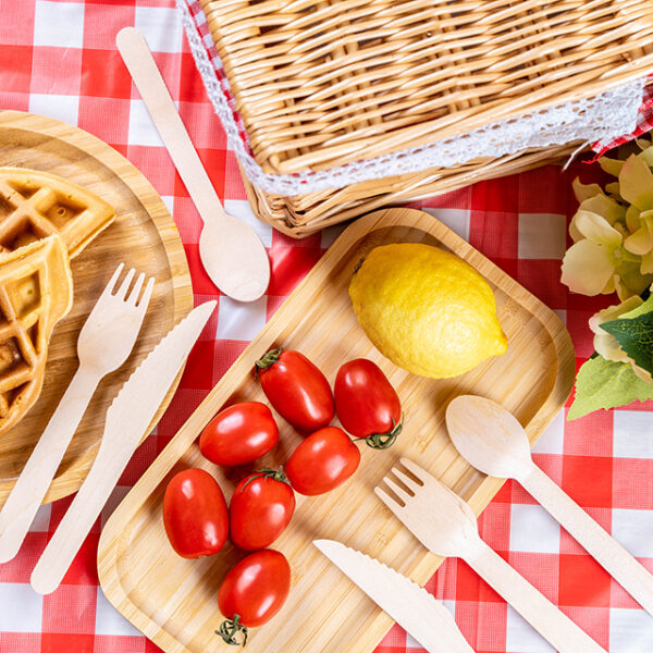 disposable tableware supplier