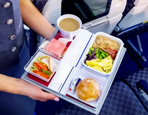 Biodegradable tableware for air and rail transportation